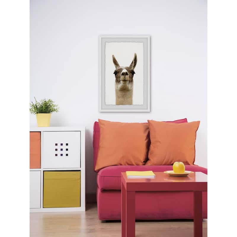 36 in. H x 24 in. W  Llama Face  by Marmont Hill Framed Printed Wall Art