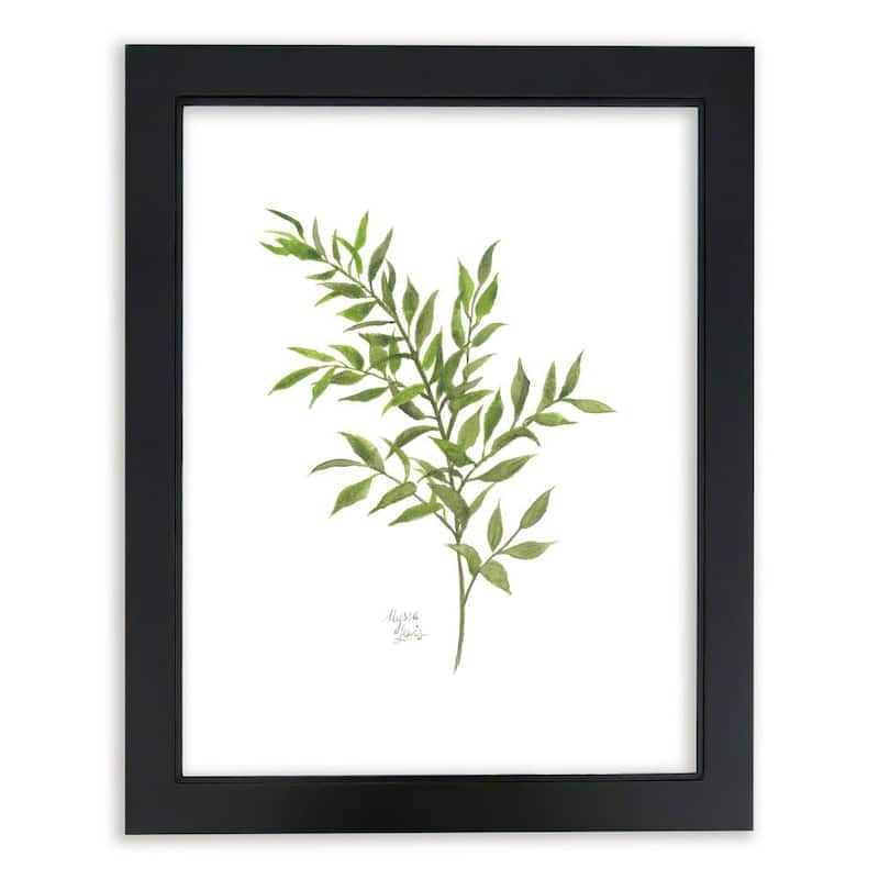 Nature's Lace 1  Italian Ruscus  by Alyssa Lewis Individual Black Framed Nature Art Print 20 in. x 16 in.